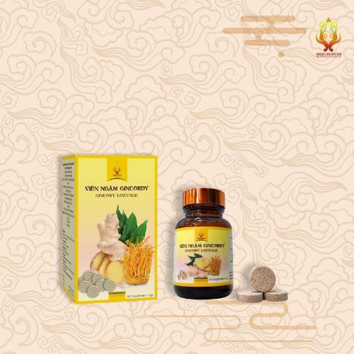 Viên ngậm Gincordy - Hình 2